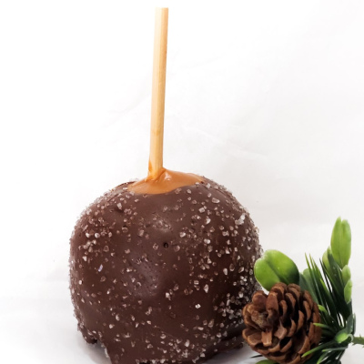 Dark Chocolate and Sea Salt