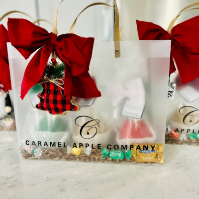 4 apple gift bag